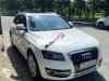 Audi Q5 2010 - Xe Audi Q5 2010, màu trắng, nhập khẩu còn mới