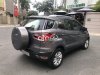 Ford EcoSport   Titanium  2015 - Cần bán xe Ford EcoSport Titanium năm sản xuất 2015, màu xám