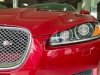 Jaguar XF 2012 - Xe số tự động