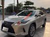 Lexus RX 300 2022 - Bán ô tô Lexus RX 300 sản xuất 2022, màu vàng cát, xe mới 99,99% xe sẵn giao luôn