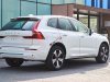 Volvo XC90 2022 - Màu trắng có sẵn, Miễn phí 3 năm bảo dưỡng