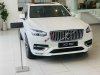 Volvo XC90 5010 2022 - Miễn phí 3 năm bảo dưỡng