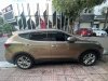 Hyundai Santa Fe 2017 - Cần Bán xe ô tô - Hyundai Santafe 2017 4WD máy xăng full  2 cầu 