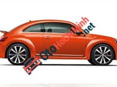 Volkswagen New Beetle 2016 - Bán xe Volkswagen New Beetle 2016, màu cam, xe nhập