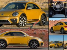 Volkswagen Beetle TSI 2016 - Volkswagen Beetle 2016 giúp cho bạn tạo một phong cách riêng và lạ trên đường phố