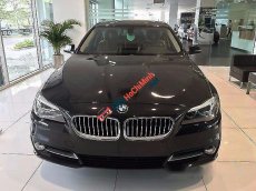 BMW 528i 2017 - BMW Hồ Chí Minh bán BMW 528i đời 2017, màu đen, nhập khẩu chính hãng