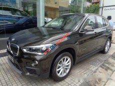 BMW X1 AT Sdrive 18i 2017 - BMW Hồ Chí Minh cần bán xe BMW X1 AT Sdrive 18i đời 2017, màu nâu, xe nhập