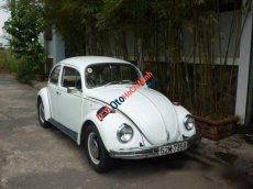 Volkswagen Beetle   1980 - Bán xe Volkswagen Beetle 1980, màu trắng, nhập khẩu  