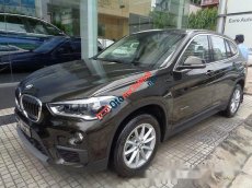 BMW X1 2017 - Bán xe BMW X1 đời 2017, màu nâu