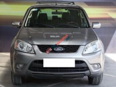 Ford Escape XLS 2011 - Cần bán Ford Escape XLS năm 2011, màu xám (ghi), giá chỉ 436 triệu