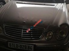 Mercedes-Benz E class E240 2004 - Cần bán gấp Mercedes E240 đời 2004, màu xám