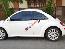 Volkswagen New Beetle 2008 - Bán sêu xe thể thao New Beetle, Tubo, nhập khẩu, chỉ 485tr