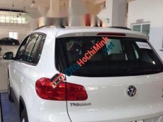 Volkswagen Tiguan 2012 - Cần bán gấp Volkswagen Tiguan đời 2012, màu trắng, nhập khẩu, giá tốt