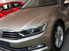 Volkswagen Passat GP 2017 - Bán xe Volkswagen Passat sedan hạng D 5 chỗ xe Đức nhập khẩu chính hãng mới 100% giá rẻ. LH ngay 0933 365 188