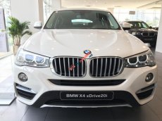 BMW X4 xDrive20i 2017 - Bán BMW X4 xDrive20i nhập khẩu Đức - 0909996626