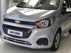 Chevrolet Spark Van 2018 - Cần bán xe Chevrolet Spark Van sản xuất năm 2018, màu bạc, giá tốt