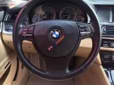 BMW 5 Series 523i 2010 - Cần bán gấp BMW 5 Series 523i 2010, màu trắng, xe nhập chính chủ