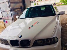 BMW 5 Series 2002 - Bán BMW 5 Series đời 2002, màu trắng, nhập khẩu nguyên chiếc, biển số đẹp giá 250tr