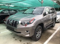 Toyota Prado 2019 - Cần bán gấp Toyota Prado 2019, màu bạc, nhập khẩu nguyên chiếc