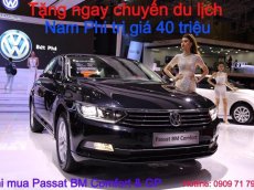 Volkswagen Passat G 2019 - Bán xe Volkswagen Passat G sản xuất 2019, màu đen, nhập khẩu chính hãng