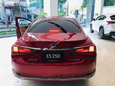 Lexus ES 250 2019 - Bán ô tô Lexus ES 250 năm 2019, màu đỏ, nhập khẩu