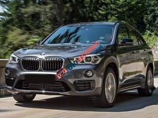 BMW X1   xDrive  2019 - Bán BMW X1 xDrive năm sản xuất 2019, nhập khẩu  
