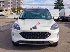 Ford Escape 2019 - Bán xe Ford Escape đời 2019, màu trắng, hỗ trợ tốt