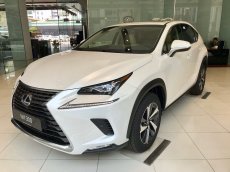 Lexus NX 2019 - Cần bán xe Lexus NX sản xuất 2019, màu trắng, nhập khẩu