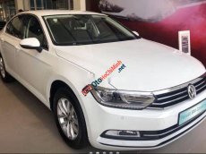 Volkswagen Passat   2018 - Bán xe Volkswagen Passat năm sản xuất 2018, màu trắng, nhập khẩu