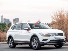 Bán Volkswagen Tiguan Elegance sản xuất 2020, màu trắng, nhập khẩu