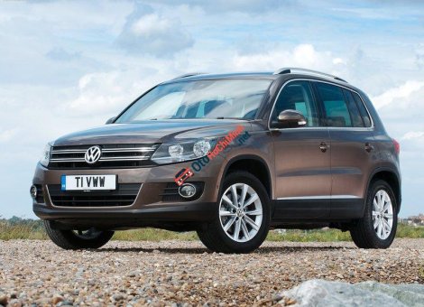 Volkswagen Tiguan E 2015 - Cần bán xe Volkswagen Tiguan E đời 2016, màu nâu, nhập khẩu chính hãng
